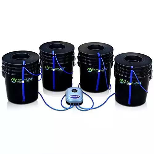 Deep Water Culture (DWC) Hydroponic Bubbler Bucket Kit by PowerGrow ® Systems (4) 5 Gallon - 6" Buckets