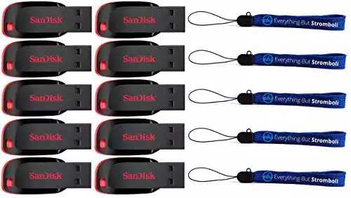 SanDisk Cruzer Blade 16GB (10 Pack) USB 2.0 Flash Drive Jump Drive Pen Drive SDCZ50-016G - Ten Pack Bundle with (5) Everything But Stromboli Lanyards